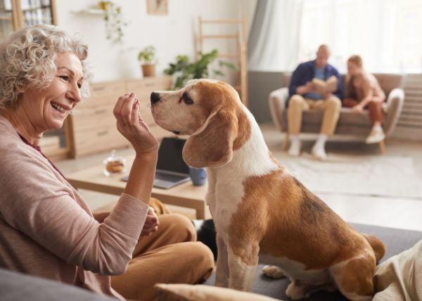 Pet Trusts vs. Pet Wills Which Is Right for Your Pet