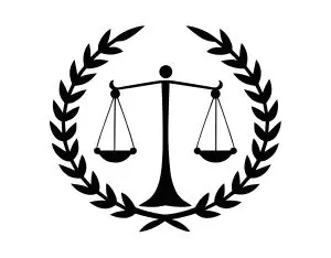 Medicaid Lawyer